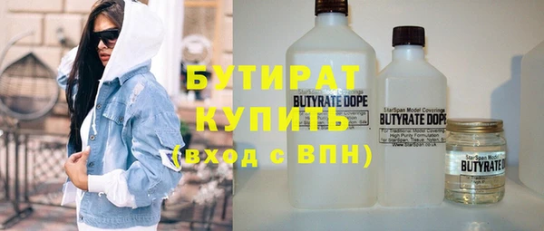 индика Богданович