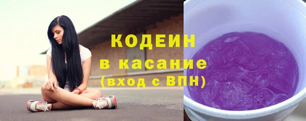 индика Богданович