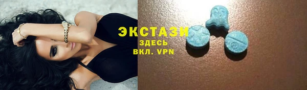 индика Богданович