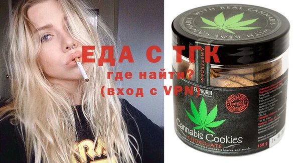 индика Богданович