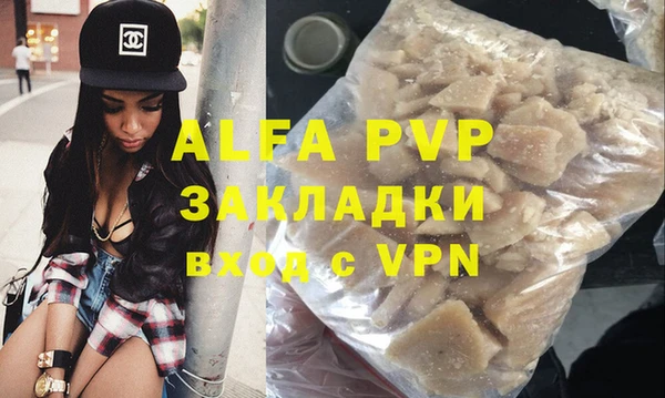индика Богданович