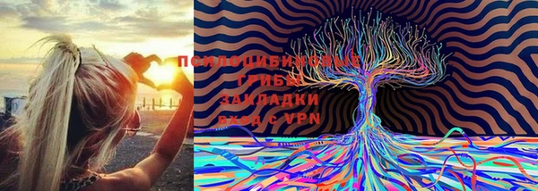 кокаин VHQ Белокуриха