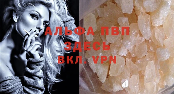 индика Богданович