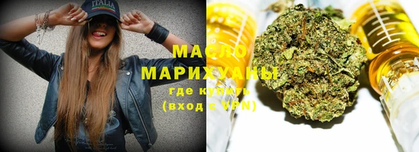 spice Бородино