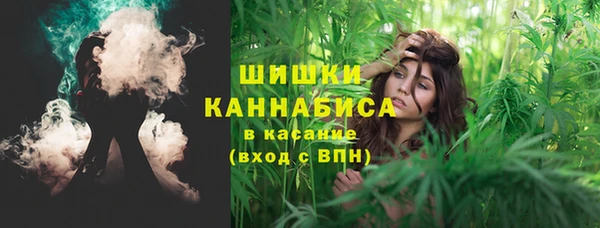 тгк Бронницы