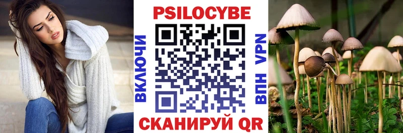 Псилоцибиновые грибы Psilocybine cubensis  Касимов 