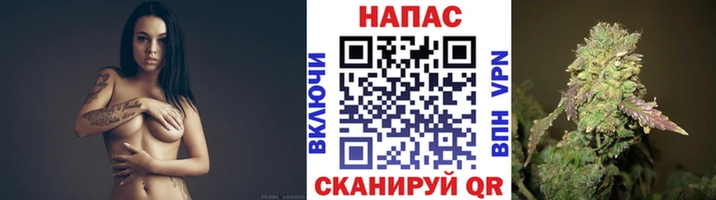 Марихуана план  наркота  Касимов 